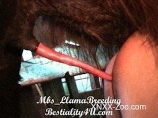 XNXX-Zoo