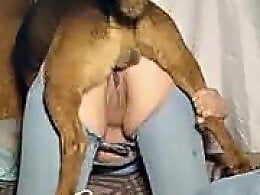 Animal porn videos and ZOO PORN