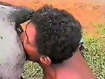 Free bestiality and zoophilia porn